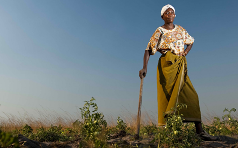 Risk in Agriculture Credit Applications: A New Approach